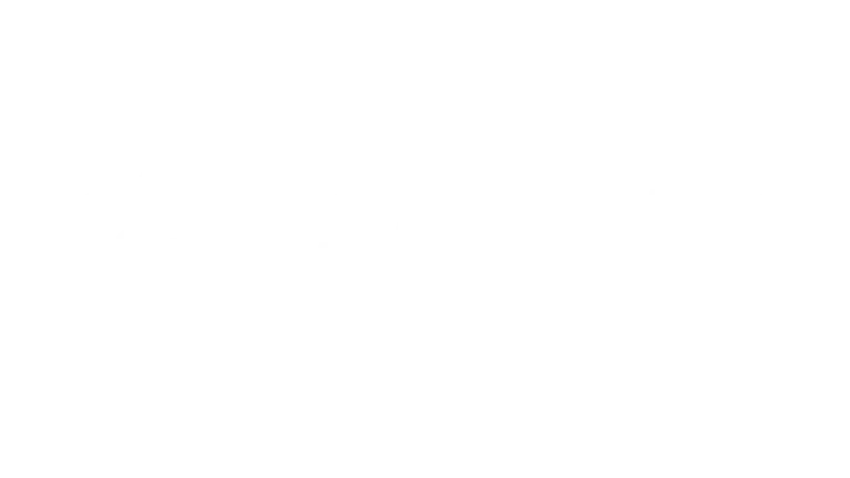 Stereliza