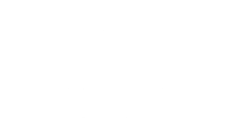 Logos-para-Site-Mettos-30-03Paladino